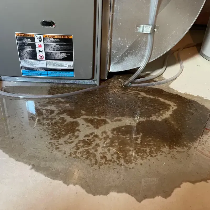 Appliance Leak Cleanup in Union, KY